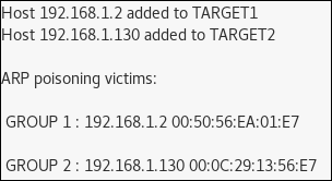 Executing a man-in-the-middle attack